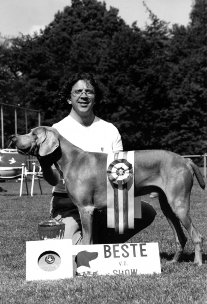 Abel Pingus Sirius van Bekkeman wordt Kampioenschapsclubmatchwinnaar 2003 van de Weimarse staande hond 