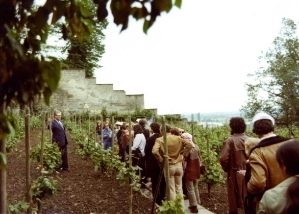 wijnproeven in de wijngaarden van Slavante van Frits Bosch