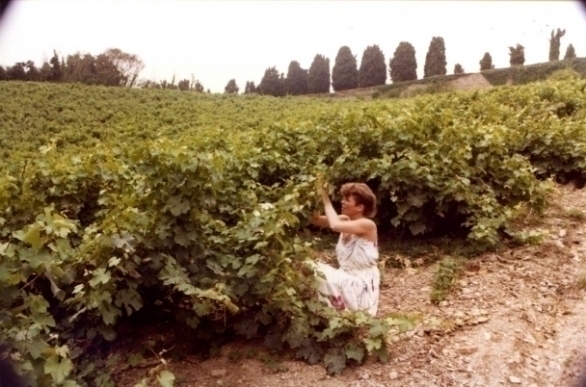 Ine Droogh-Goossens in de wijngaarden van Coulée de Serrant in 1981