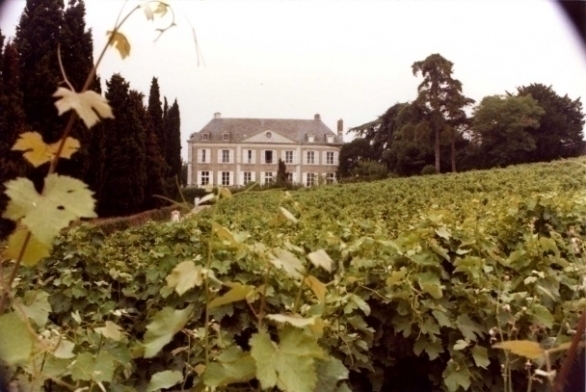 Het landgoed met wijngaarden van Coulée de Serrant